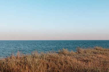 High seashore overgrown with grass and meadow plants. Sea landscape. Clear horizon above water. Minimalist photo. Black Sea, Ukraine, Eastern Europe.