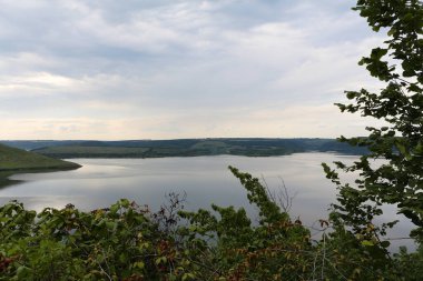 Sakin, pürüzsüz bir su manzarası. Nehir kıyısındaki kır çiçekleri. Dinyester nehri, Ukrayna 'daki Bakota Körfezi manzarası. Sakin renklerde yaz manzarası.