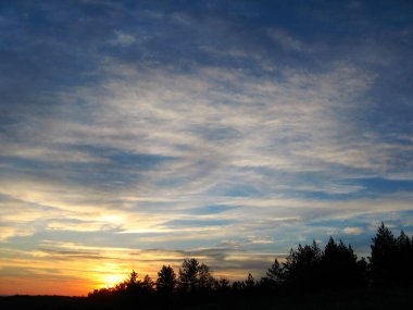 Ormanın üzerindeki gökyüzü gün doğumunda