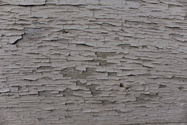 Eski gri, boyalı ahşap ahşap döşeme.