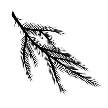 Spruce Silueti ya da çam dalı