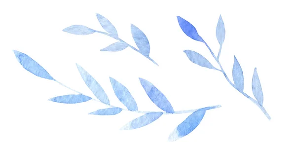 Rośliny akwarelowe z roślin jasnoniebieskich — Zdjęcie stockowe