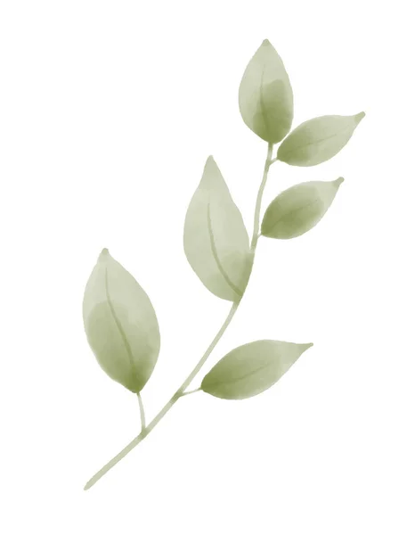 白の隔離された背景に緑のベクトルブランチ 結婚式の招待状やグリーティングカードのための抽象的な植物の手描きイラスト 水彩画の模倣 — ストックベクタ
