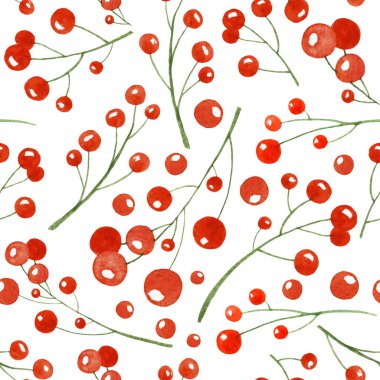 Kırmızı böğürtlenli suluboya desenli. Paket kağıdı veya arkaplan olarak çobanpüskülü dalları ile el çizimi Arkaplan