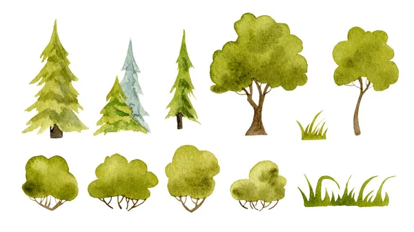 Watercolor Trees set with pine and oaks
