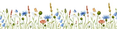 Watercolor Flower Border with chamomile and cornflower