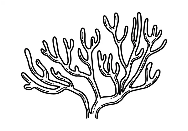 Vector sketch of coral reefs — Wektor stockowy