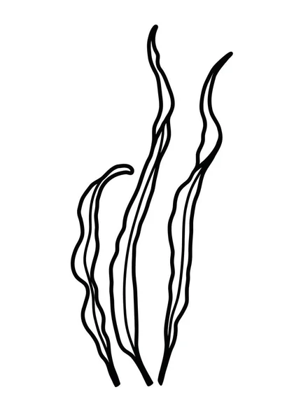 Vector seaweed in line art style — Stok Vektör