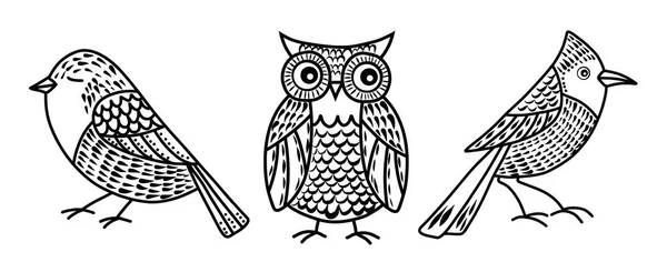 Vector Set Cute Birds Doodle Style Hand Drawn Illustration Owl — Stock Vector