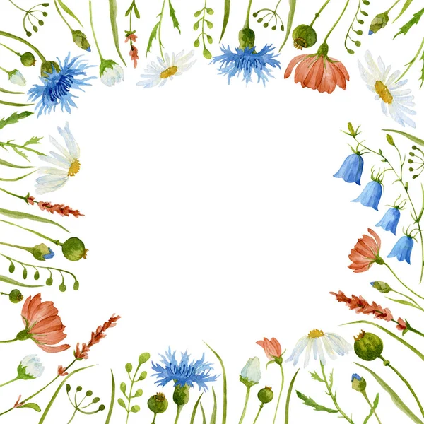 Square Flower Frame Wild Field Plants Green Leaves Watercolor Hand — Stock Photo, Image