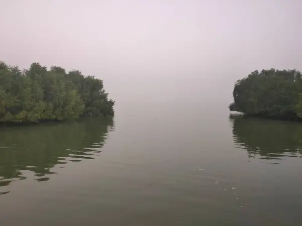 Lago Agua Verde Árbol — Foto de Stock