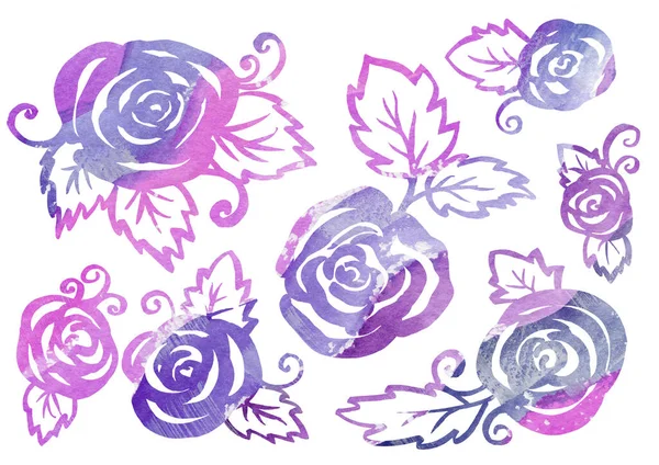 Акварель Набір квіткових елементів у стилі лінійного мистецтва на білому тлі. Бузкова, рожева, фіолетова і фіолетова троянда і лист — стокове фото
