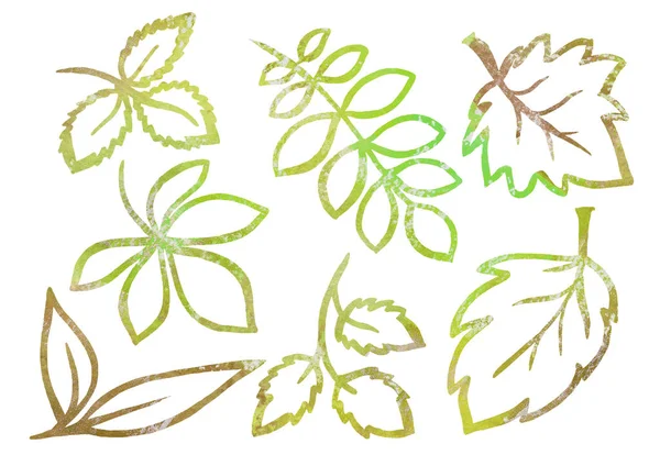 Watercolor Set of Floral elements in the style of line art on a white background. Green and brown leaf — Stock Photo, Image