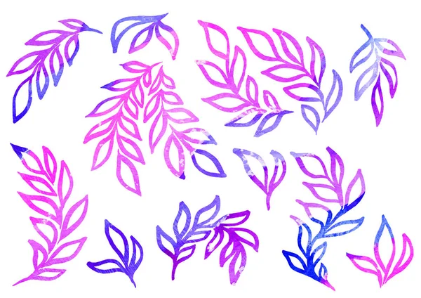 Akvarell Set of Floral elements in the style of line art on a white background. Akvarell rózsaszín, ibolya, kék és lila gradiens levél — Stock Fotó