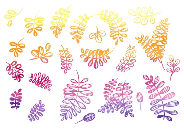 Акварель Набір квіткових елементів у стилі лінійного мистецтва на білому тлі. Фіолетовий, жовтий, помаранчевий і фіолетовий листя — стокове фото