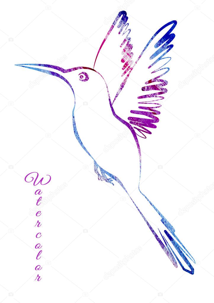 Artistic hand made Watercolor bird in the style of line art on a white background. Purple, blue, orange, pink and violet colors. colorful silhouette hummingbird with spread wings