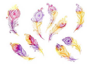 Suluboya kuşları beyaz arka planda çizgi sanatı tarzında elementler oluşturur. Mor, sarı, turuncu, pembe ve mor tüyler