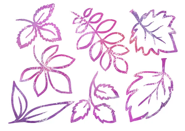 수채 색: 흰색 바탕에 선 미술 스타일의 식물상 요소 세트. 바이올렛 과 자주색 잎 — 스톡 사진