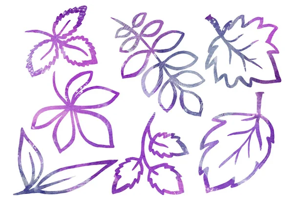 水彩白い背景にラインアートのスタイルで花の要素のセット。バイオレット、グレー、パープルの葉 — ストック写真