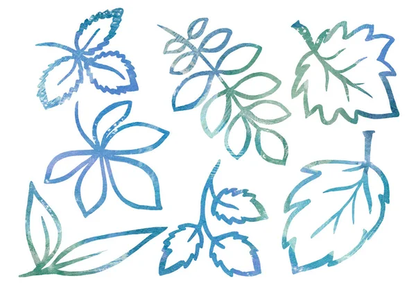 水彩画系列花卉元素在线条艺术风格上呈白色背景.蓝色、绿色和绿松石叶 — 图库照片