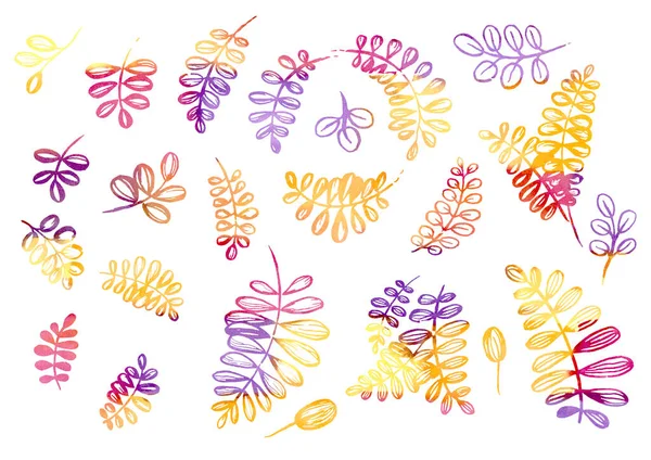 Aquarell Set aus floralen Elementen im Stil der Linienkunst auf weißem Hintergrund. Lila, rosa, gelbe, braune, orangefarbene und violette Blätter — Stockfoto