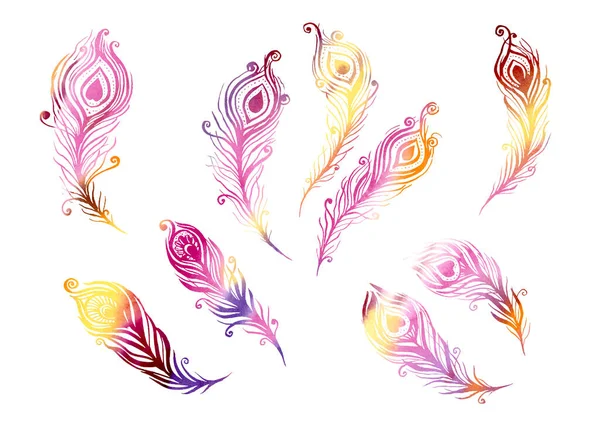 Aquarela Conjunto de elementos de penas de pássaros no estilo de arte de linha em um fundo branco. Penas roxas, castanhas, amarelas, laranja, rosa e violetas — Fotografia de Stock