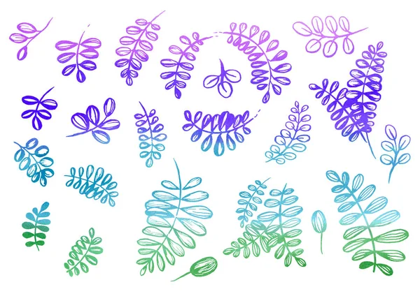 Beyaz arkaplandaki çizgi sanatı tarzında suluboya elementler. Mor, mavi, yeşil, turkuaz ve mor yaprak — Stok fotoğraf