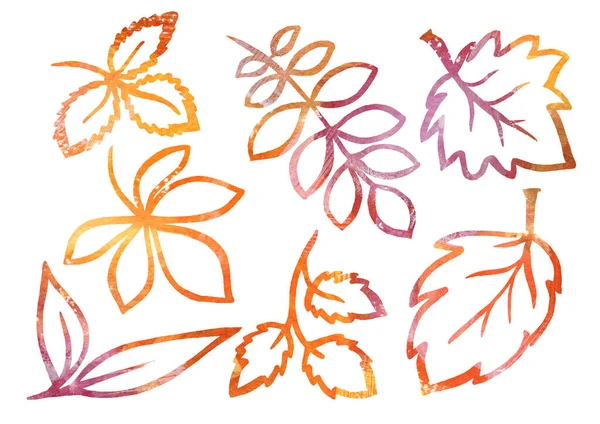 Akvarell Set of Floral elements in the style of line art on a white background. Narancs, ibolya és barna levél — Stock Fotó