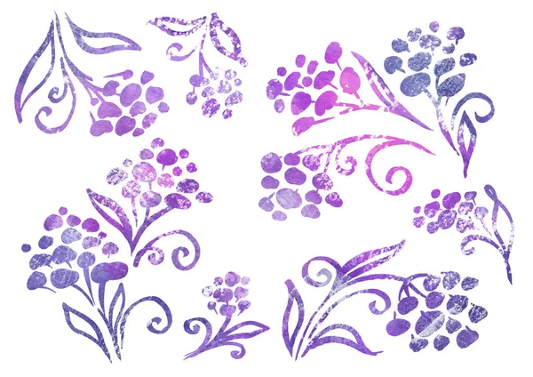 Beyaz arkaplandaki çizgi sanatında Çiçek Çiçeği elementlerinin suluboya seti. Sonbahar menekşesi, mor, gri ve leylak çiçekleri — Stok fotoğraf