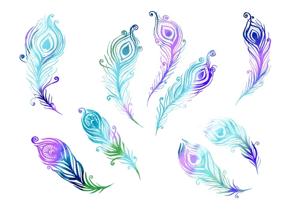 Aquarela Conjunto de elementos de penas de pássaros no estilo de arte de linha em um fundo branco. Penas roxas, azuis, verdes, turquesa e violeta — Fotografia de Stock