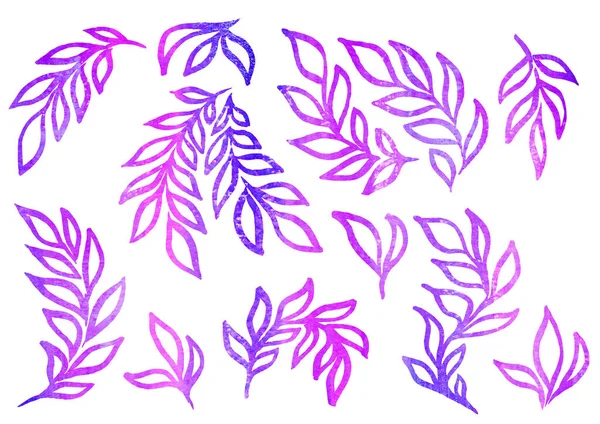 Akvarell Set of Floral elements in the style of line art on a white background. Akvarell lila és lila gradiens levél — Stock Fotó