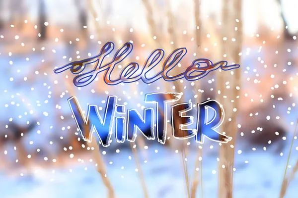 Розмиті зимові ліси ландшафт з рукописним текстом Hello Winter — стокове фото