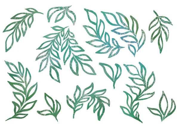 Aquarell Set aus floralen Elementen im Stil der Linienkunst auf weißem Hintergrund. Aquarell grünes Gradientenblatt — Stockfoto