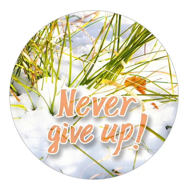 Никогда не сдавайся - положительная фраза. зеленая трава и снег — стоковое фото