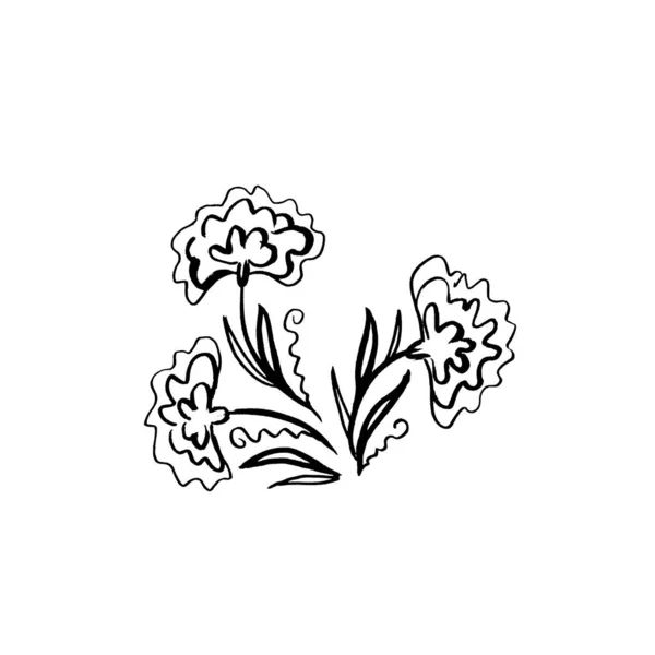 花植物カレンダーの花を設定します。孤立したイラスト要素。白地に野花を描く線画 — ストック写真