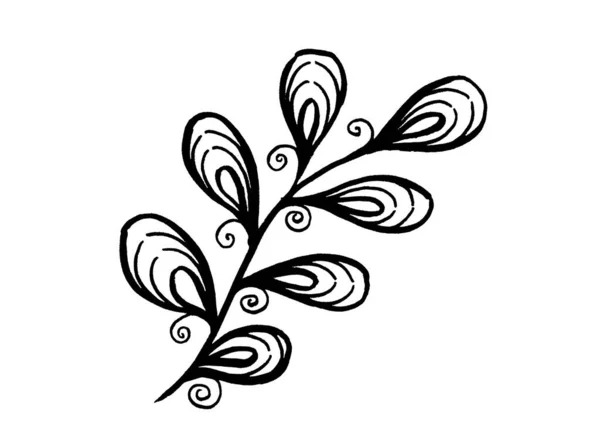 Sztuka monochromatyczna. Liniowy rysunek liści na białym tle — Zdjęcie stockowe