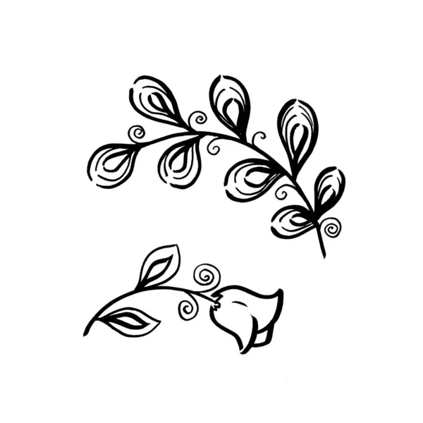 Floral botanical Set. Leave and campanula flower. Isolated illustration element. Line art hand drawing wildflower on white background — Stockfoto