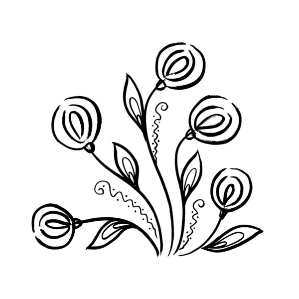植物植物蒲公英花束。孤立的说明性元素。白底线条手绘野花 — 图库照片