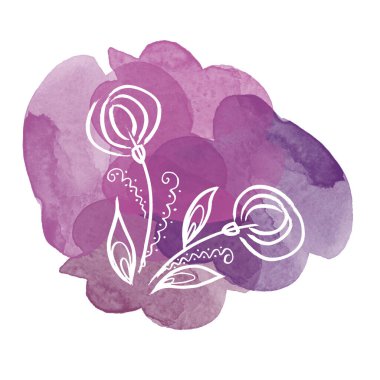 Çiçeksel botanik beyaz karahindiba çiçeği suluboya renkli mor lekeler. İzole illüstrasyon elementi. Çizgi sanatçısı beyaz arka planda kır çiçeği çiziyor