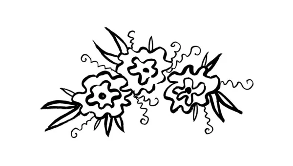 Kwiat botaniczny. Izolowany element ilustracji. Linia sztuka ręka rysunek dziki kwiat na białym tle — Zdjęcie stockowe