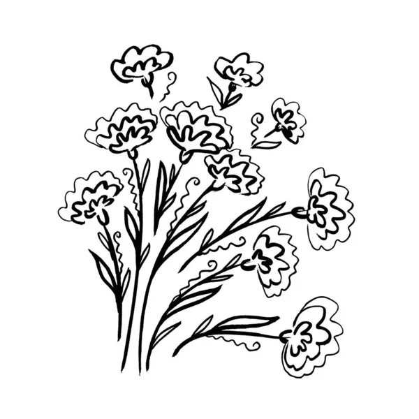 Fiore di calendula botanica floreale. Elemento di illustrazione isolato. Linea arte mano disegno wildflower su sfondo bianco — Foto Stock