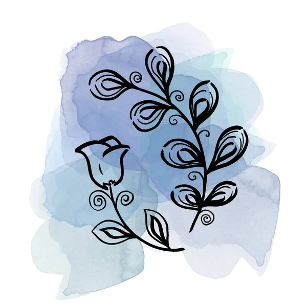Çiçeksel botanik seti, suluboya mavi ve mor lekeler. Bırakmak ve campanula çiçeği. İzole illüstrasyon elementi. Çizgi sanatçısı beyaz arka planda kır çiçeği çiziyor — Stok fotoğraf