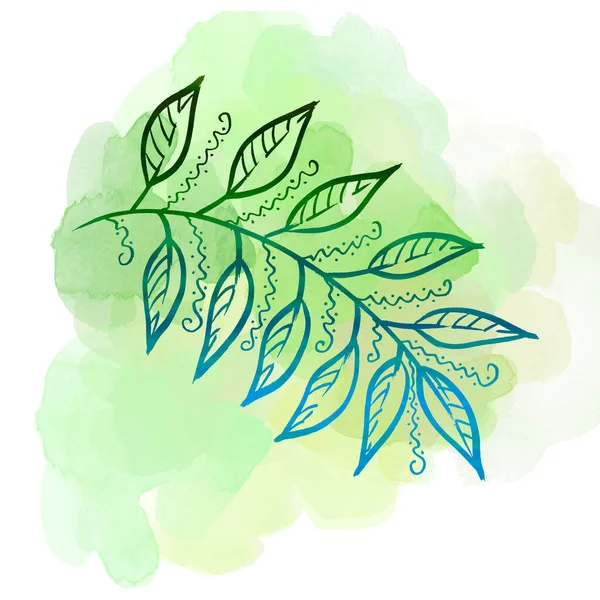 Colorful line art Leave on watercolor green splash and blot. Linear hand drawing laurel Leaf on white background — Stockfoto