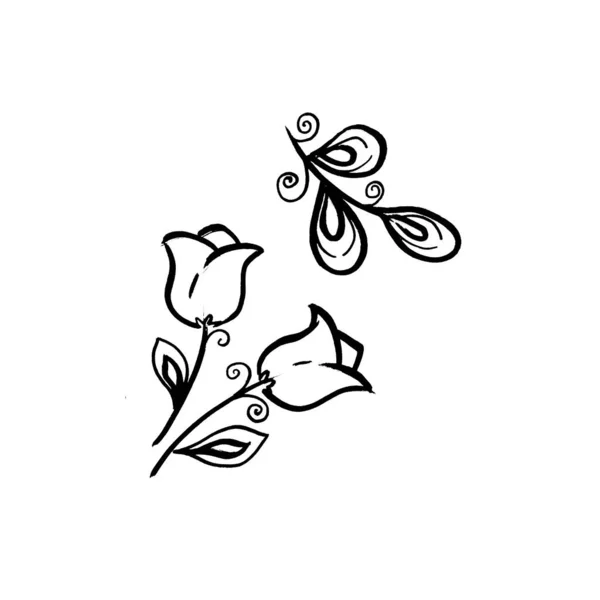 Floral botanical flower campanula and leave. Isolated illustration element. Line art hand drawing wildflower on white background — Fotografia de Stock