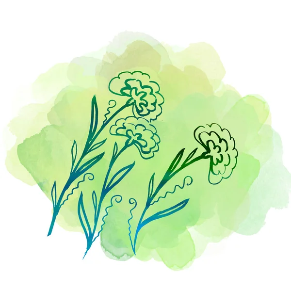 Встановіть квіткову ботанічну квітку календули на акварельних зелених плямах. Ізольований елемент ілюстрації. Лінія мистецтва рука малює дику квітку на білому тлі — стокове фото
