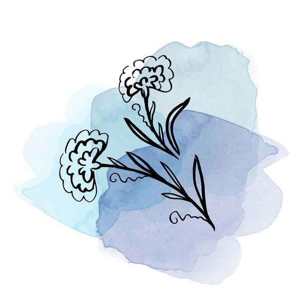 Set Floral flor de caléndula botánica sobre manchas azules acuarela. Elemento de ilustración aislado. Línea de arte mano dibujo flor silvestre sobre fondo blanco —  Fotos de Stock