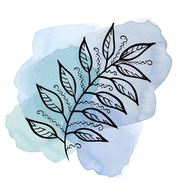 Colorful line art Leave on watercolor blue splash and blot. Linear hand drawing laurel Leaf on white background — Stockfoto