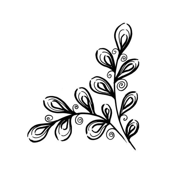 Monochrome lijn kunst Vertrek. Lineaire handtekening tropisch blad op witte achtergrond — Stockfoto