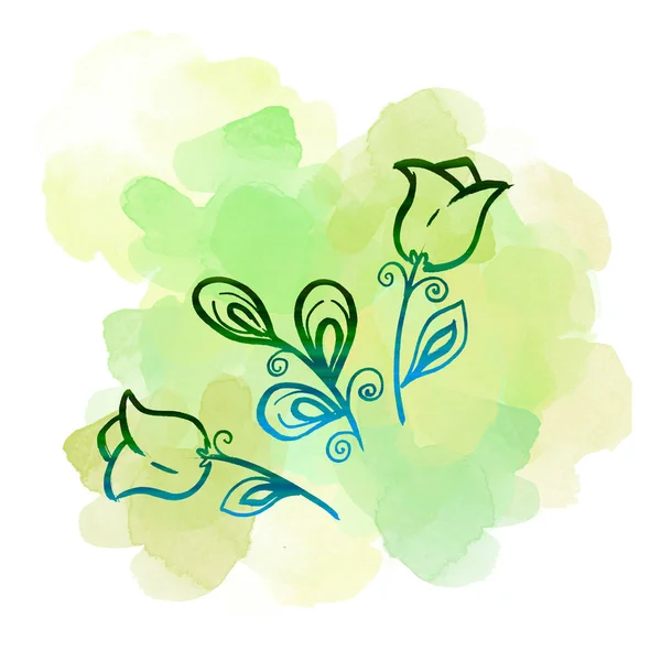 식물학 꽃 캄파 누라 를 피우고 수채 색의 초록색 물보라를 피운다. 독자적 인 삽화 요소. 흰 배경에 야생 화를 손으로 그린 라인 아트 — 스톡 사진