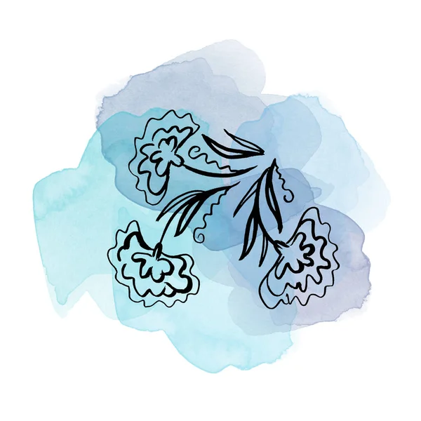 식물 성 칼렌 툴라 꽃을 푸른 수채화 위에 올려 놓으라. 독자적 인 삽화 요소. 흰 배경에 야생 화를 손으로 그린 라인 아트 — 스톡 사진